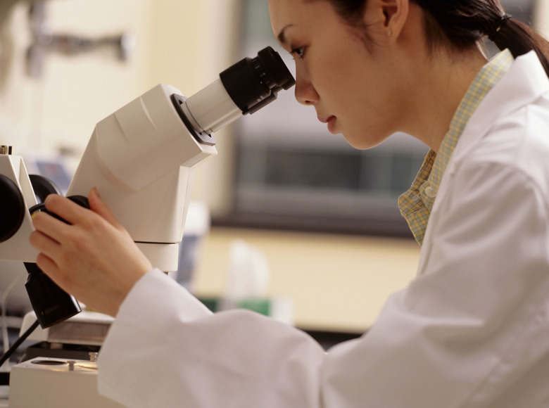 Female laboratory technician using microscope