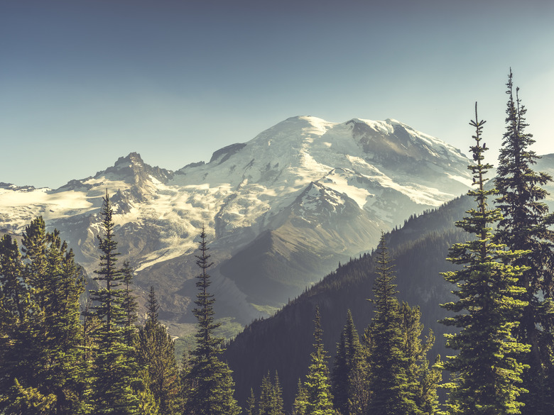 beautiful scenery of Mt. Rainier National Park