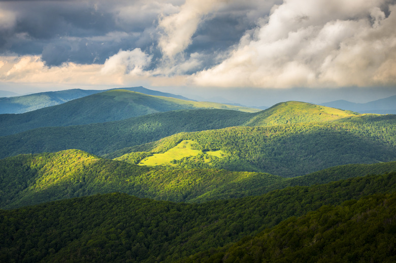 Appalachian Trail Roan Mountain State Park Blue Ridge Mountains Tennessee