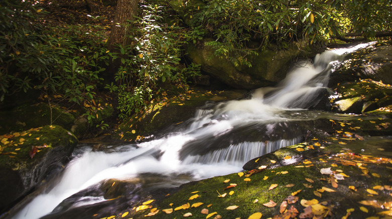 Western North Carolina Cascade