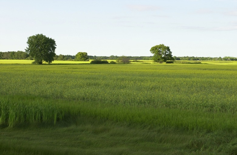 Manitoba Prairie Scenes