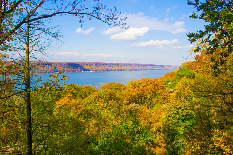 Autumn of the Palisades