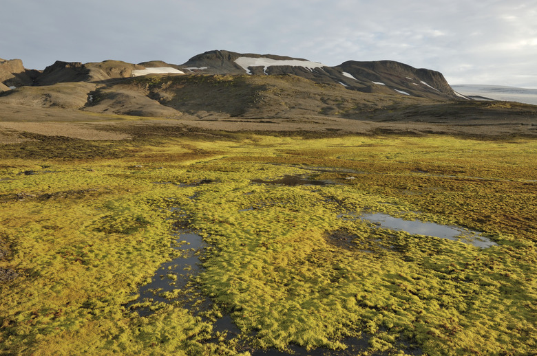 Arctic landscape in Iceland.