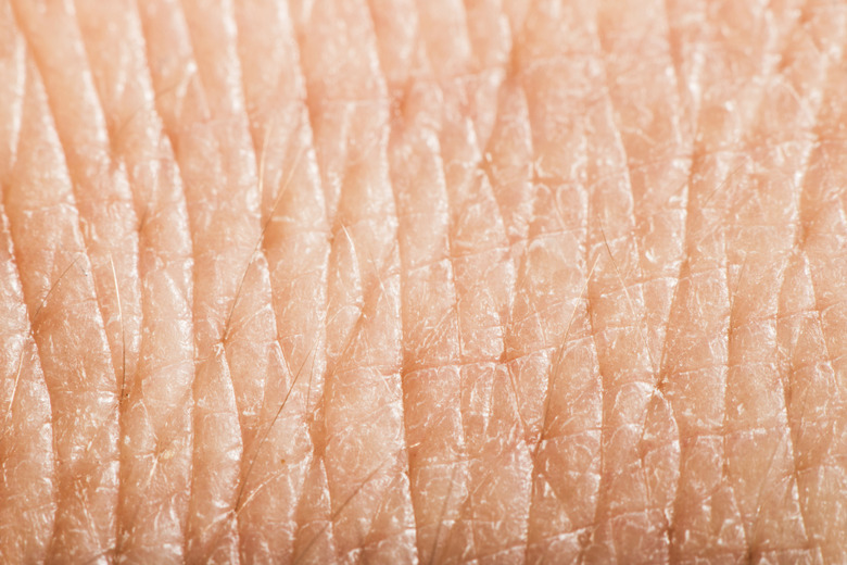 Close up human skin. Macro epidermis