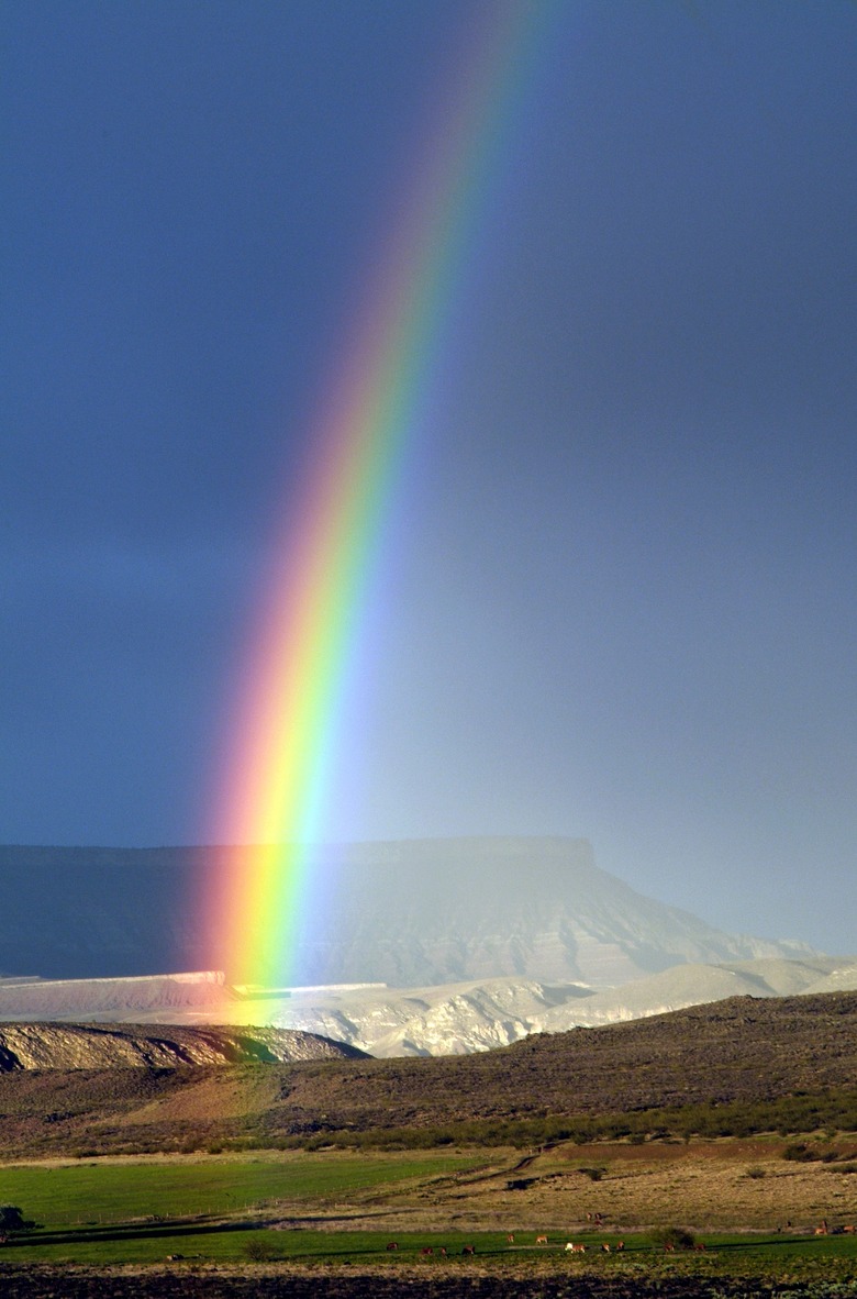 Rainbow over field