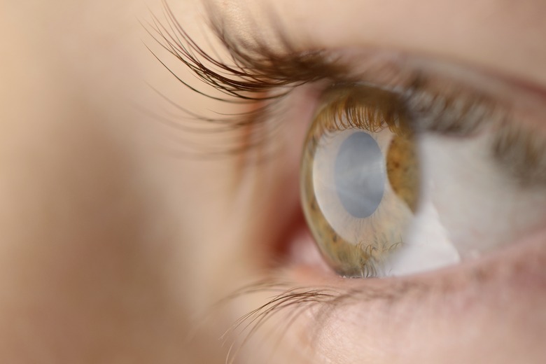 Close-up of boy's eye