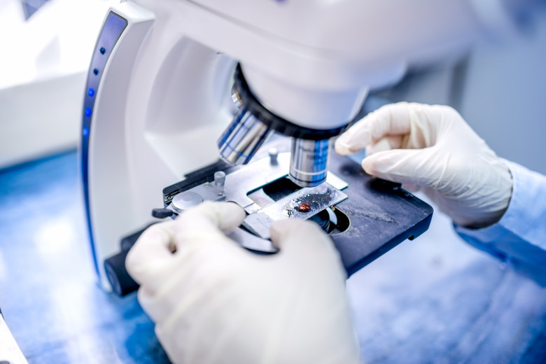 close-up of scientist hands with microscope, examining samples and liquid