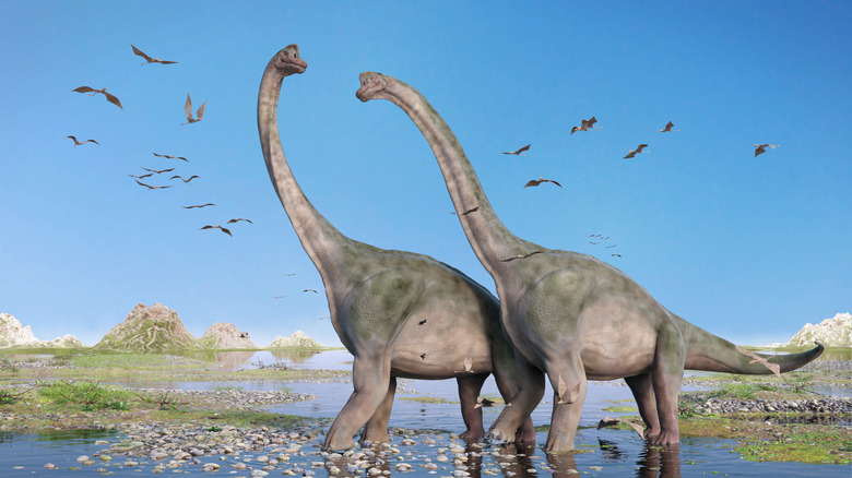 couple of Brachiosaurus altithorax and a flock of Pterosaurs in a scenic Late Jurassic landscape