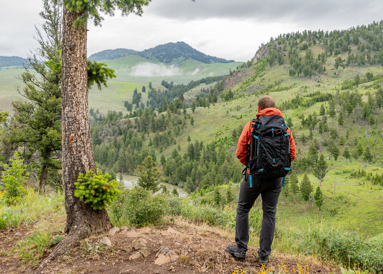 Wide View of Man looking out over Yellowstone