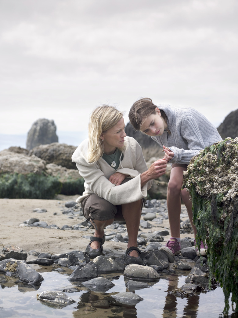 Mother and daughter (12-13) by tide pool