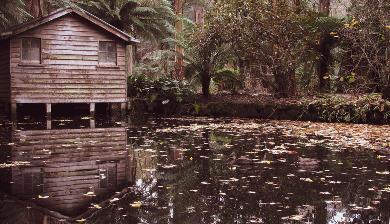 An abandoned boat shack with reflection on still water pond