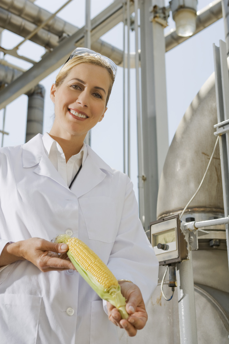 Scientist holding corn