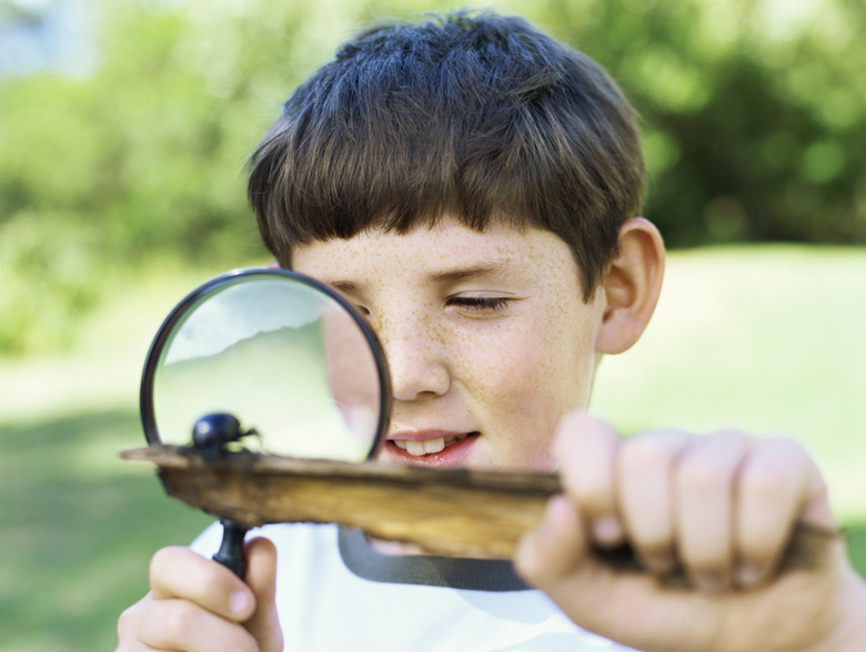 Close-up of a boy looking at an insect through a magnifying lens