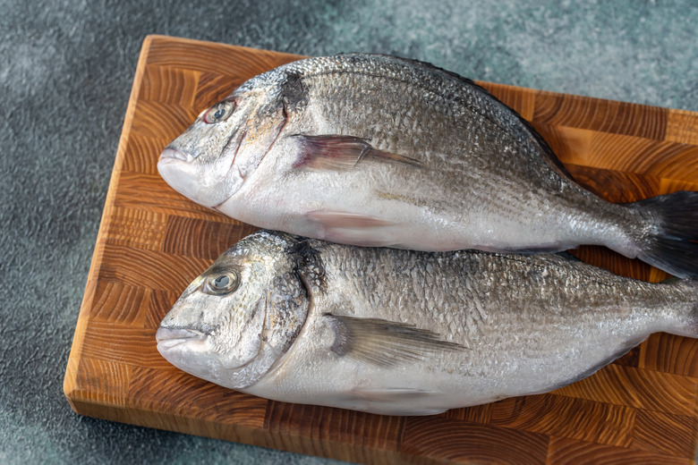 Fresh dorada on the wooden board