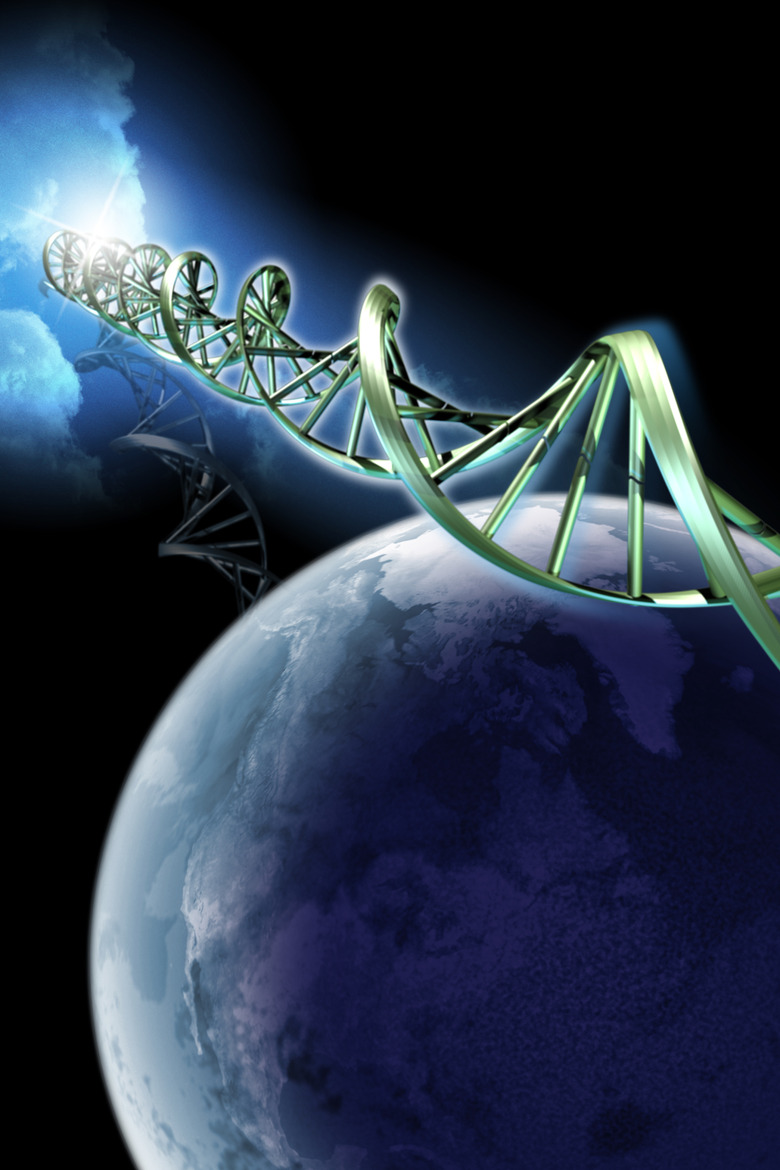 Double helix and the planet