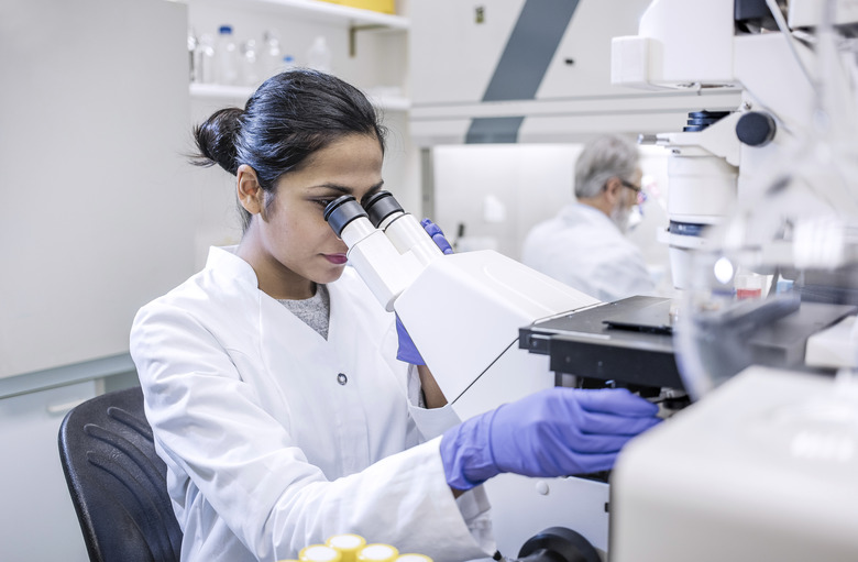 Scientists Working in The Laboratory