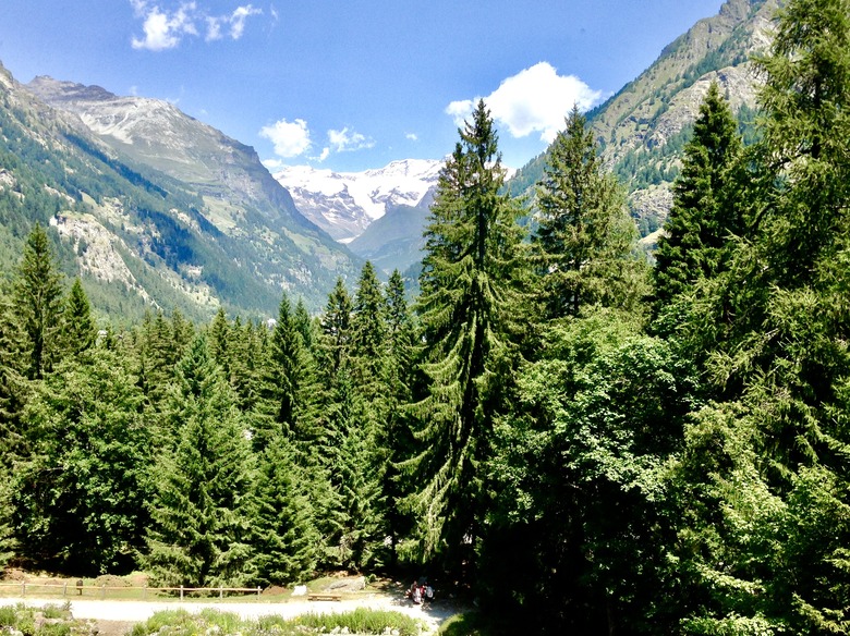 The Alps from Gressoney