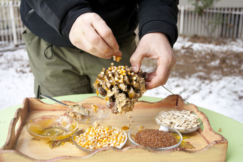 making a pine cone bird feeder