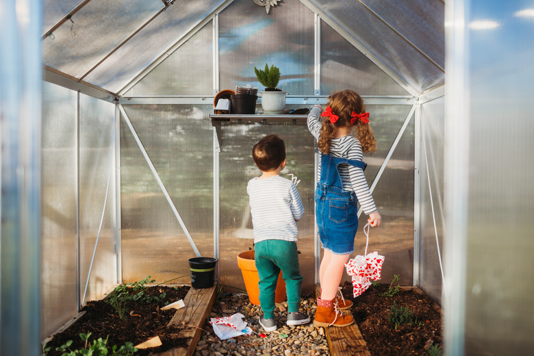 Young boy and girl checking on greenhouse in back yard