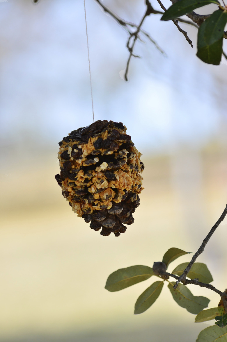 Pinecone Bird Feeder (vertical)