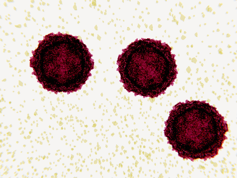 Polioviruses, electron microscope-like depiction