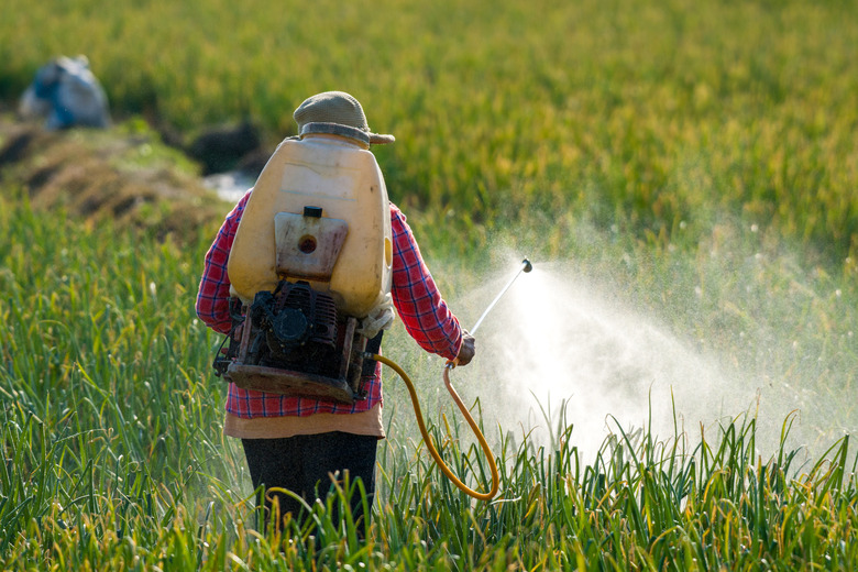 Farmer spraying pesticide.