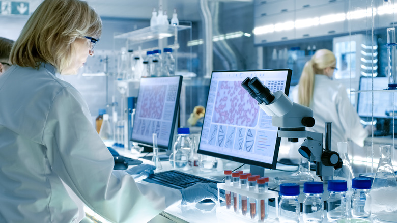 Senior Female Scientist Works with High Tech Equipment in a Modern Laboratory. Her Colleagues are Working Beside Her.