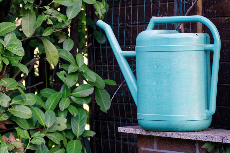 Old blue plastic watering can on wooden background