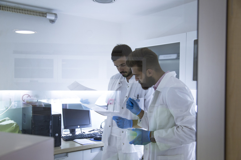 Young scientists working in laboratory