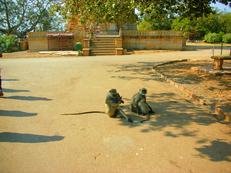 Resting on road