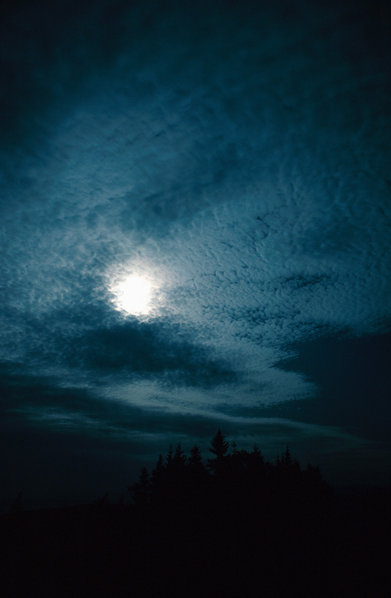 Silhouette of forest in moonlight