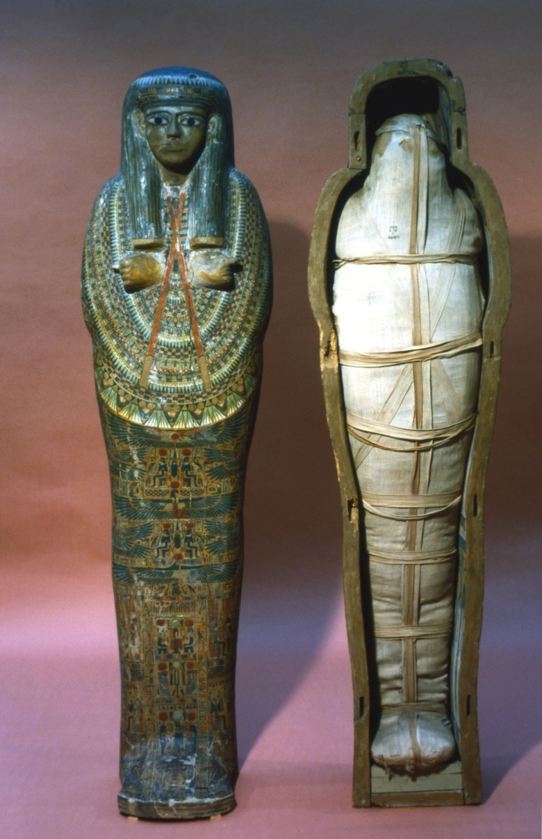 Ancient Egyptian mummy and mummy case of a princess