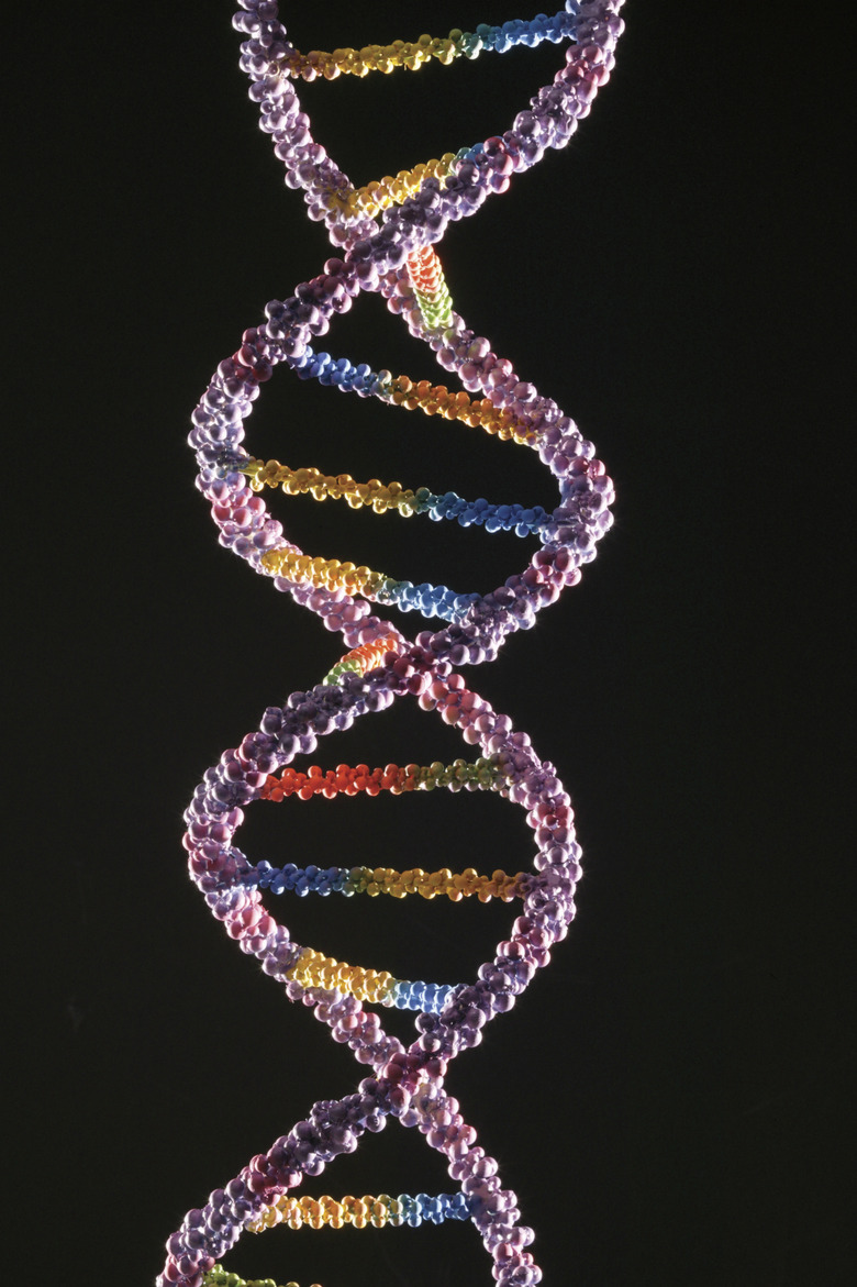 DNA helix