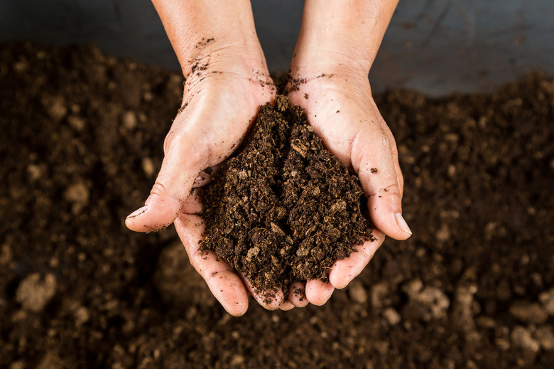 Soil Types in North Carolina