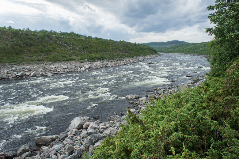 Mountain river and trees landscape natural environment. Hiking in the north Norway of Europe.