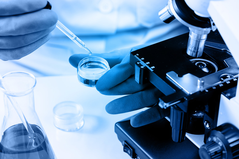 Close-Up Of Scientist Working At Laboratory