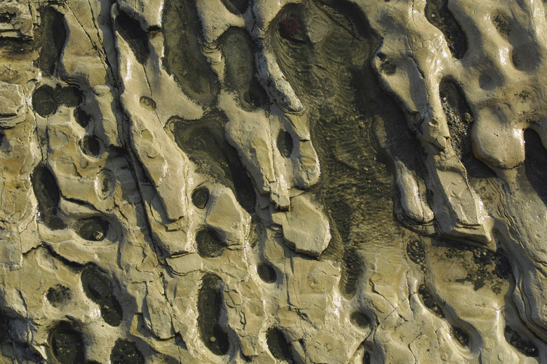 Sandstone with holes