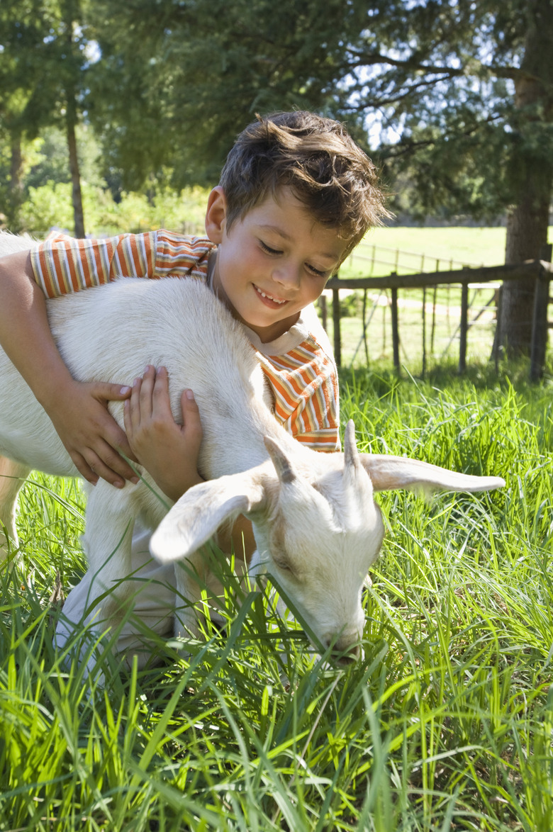 Boy hugging goat in grass