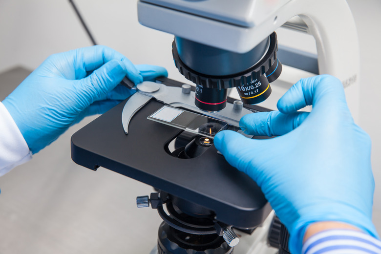 Male scientist looking at slides under the microscope