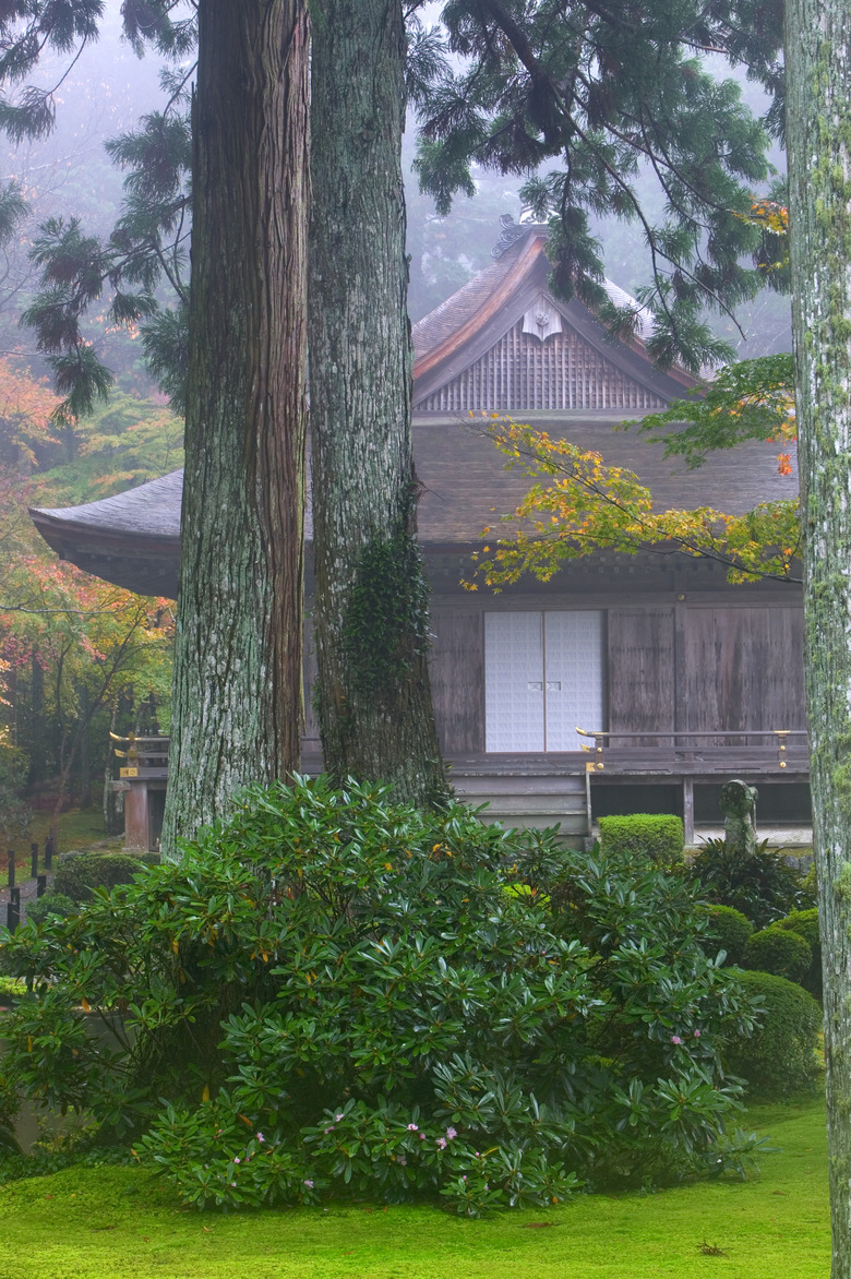 Tea house, Kyoto, Honshu, Japan