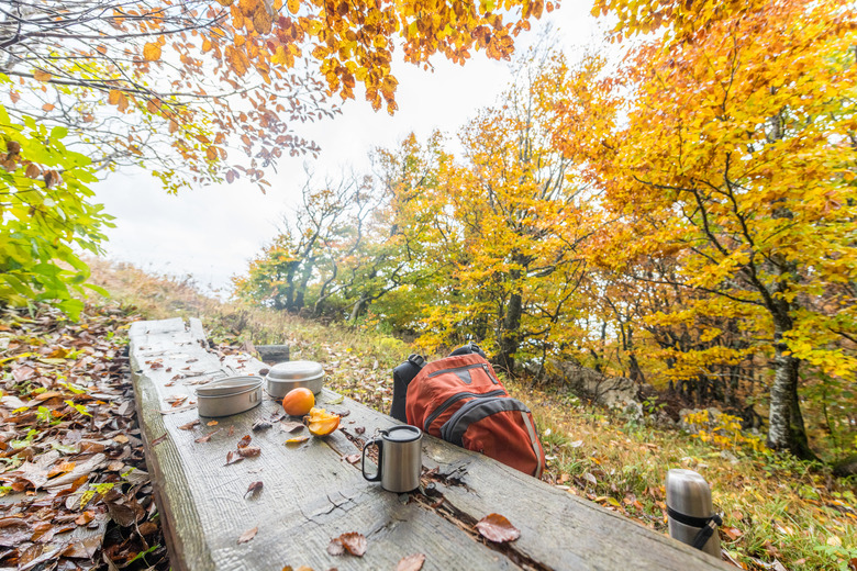 Orange Backpack and Camping Gear in Autumn Forest in Europe