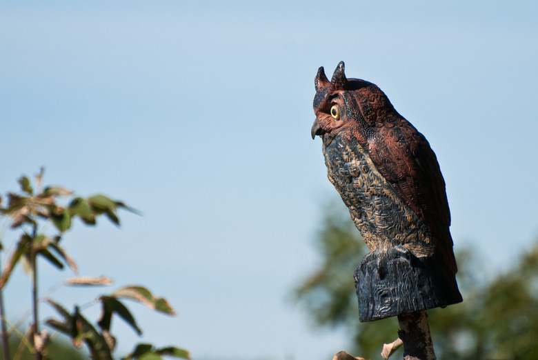 Artificial Owl Keeping Watch