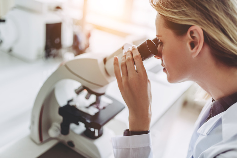 Laboratory scientist working.