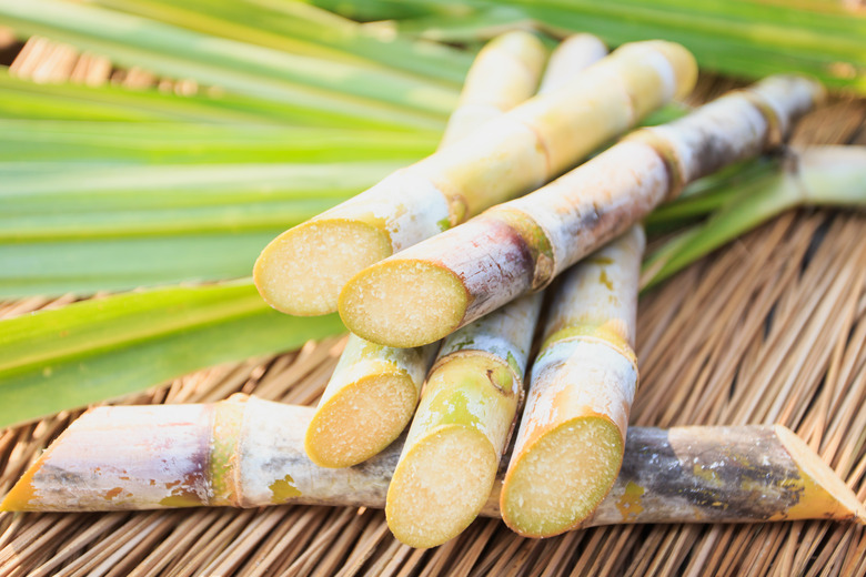 Close up Sugarcane