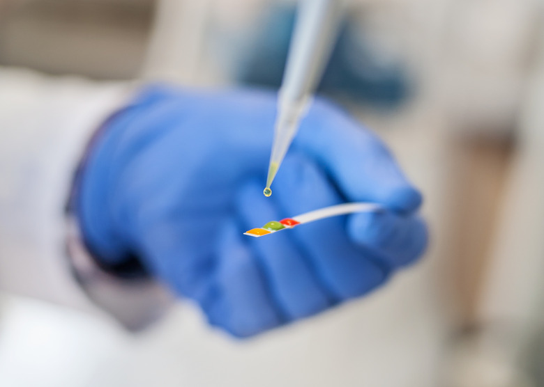 Laboratory technician working with test strips indicator paper