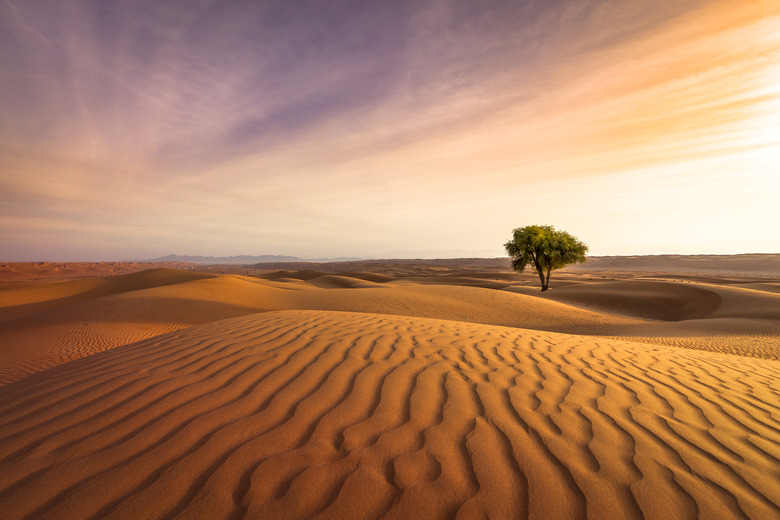 desert sunset