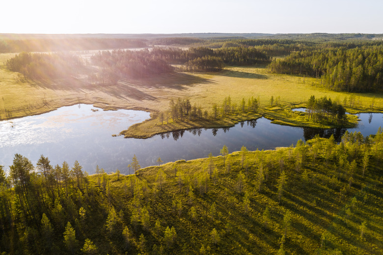 Aerial view of finnish lake and bog landscape at dawn in Tiilikkajärvi National Park, Finland. A subarctic boreal forest.