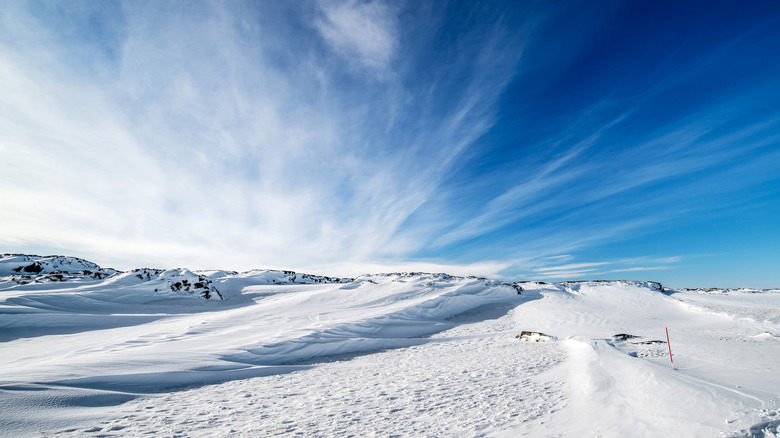 snow desert winter landscape in iceland