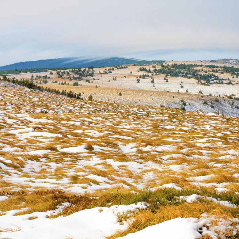 Tundra landscape in the mountains