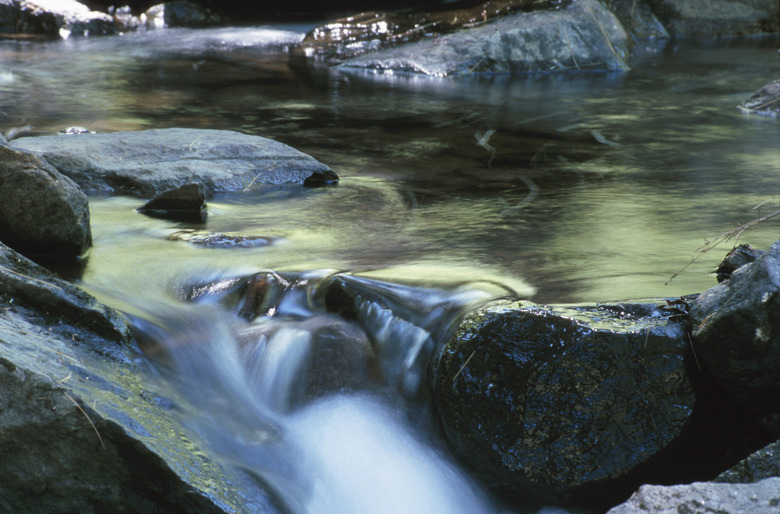 Stream in the wilderness